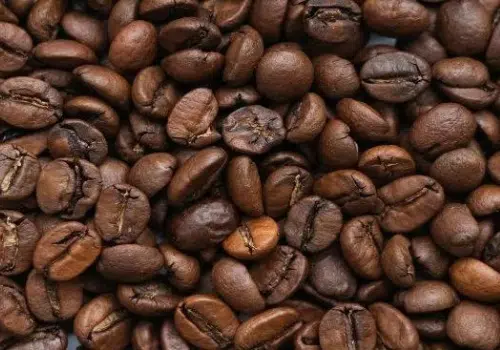 Medium-Dark Coffee Roasts